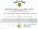 Navy Commendation Medal - first award (Click here to enlarge)